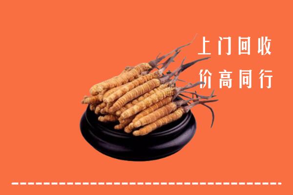 高价求购：信阳市潢川回收散虫草