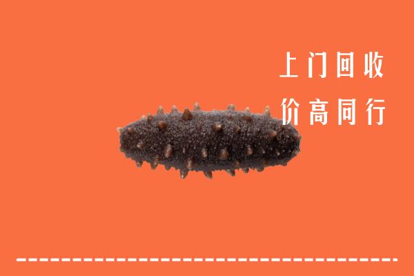 高价求购：信阳市潢川回收海参