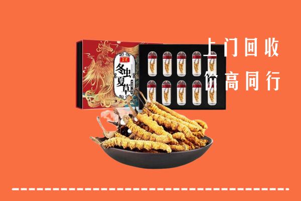 信阳市潢川回收虫草